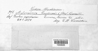 Image Associated With the Occurence